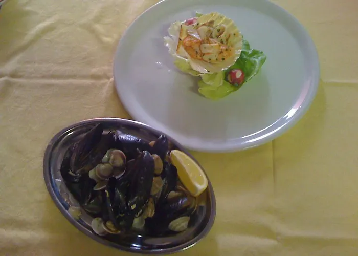 Serafini Free Parking