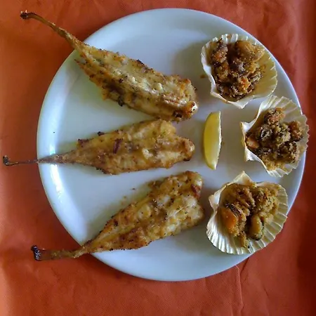 Serafini Free Parking