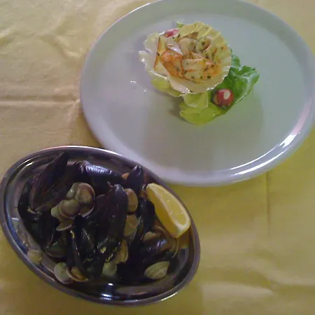 Serafini Free Parking