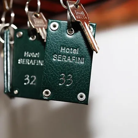 Serafini Free Parking Hotel 2*